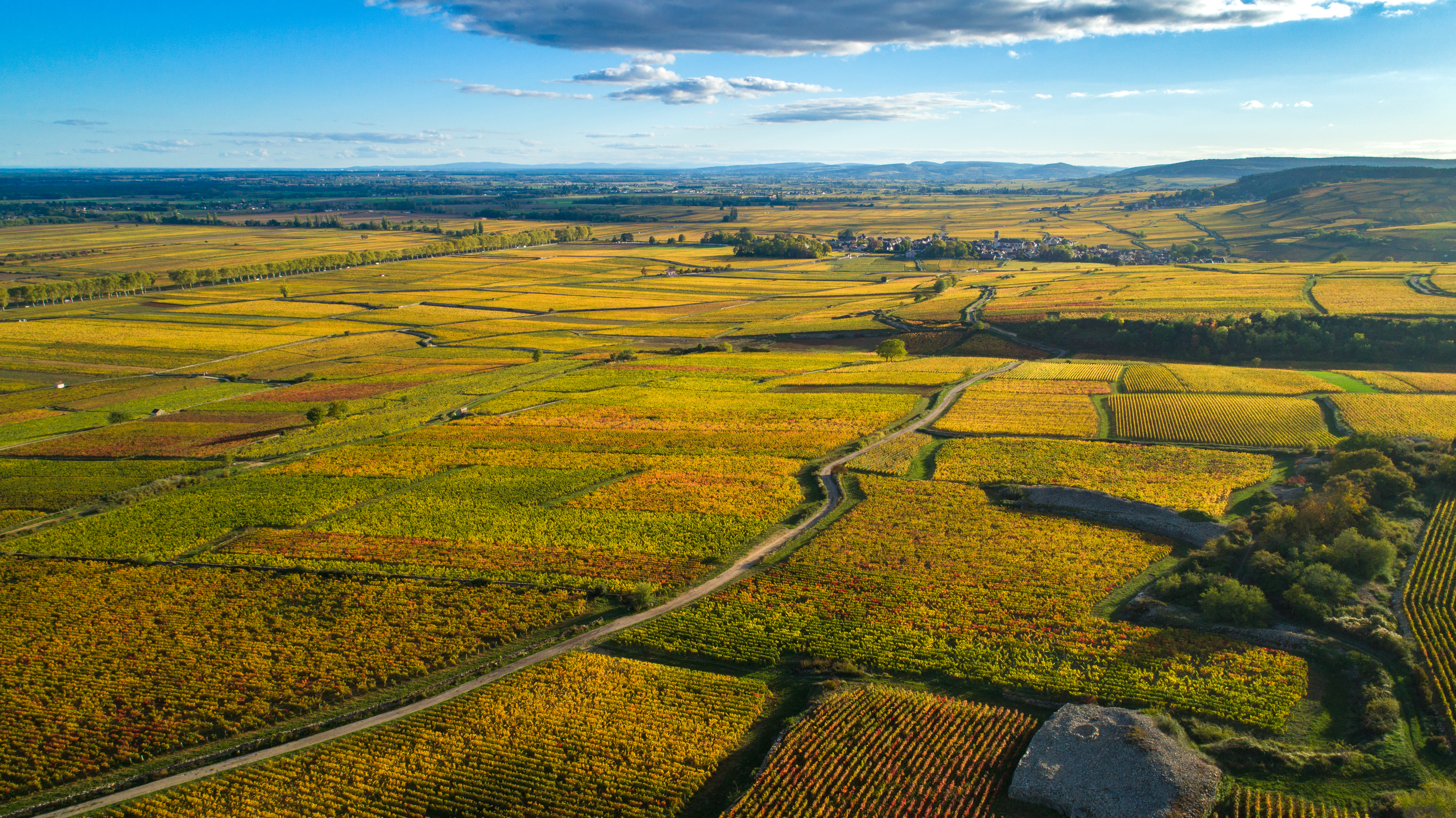 vignoble à vélo électrique 