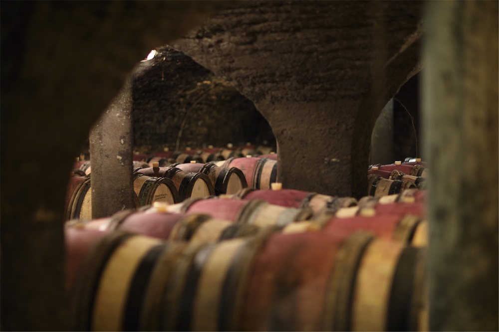 Cellars guided tour & tasting