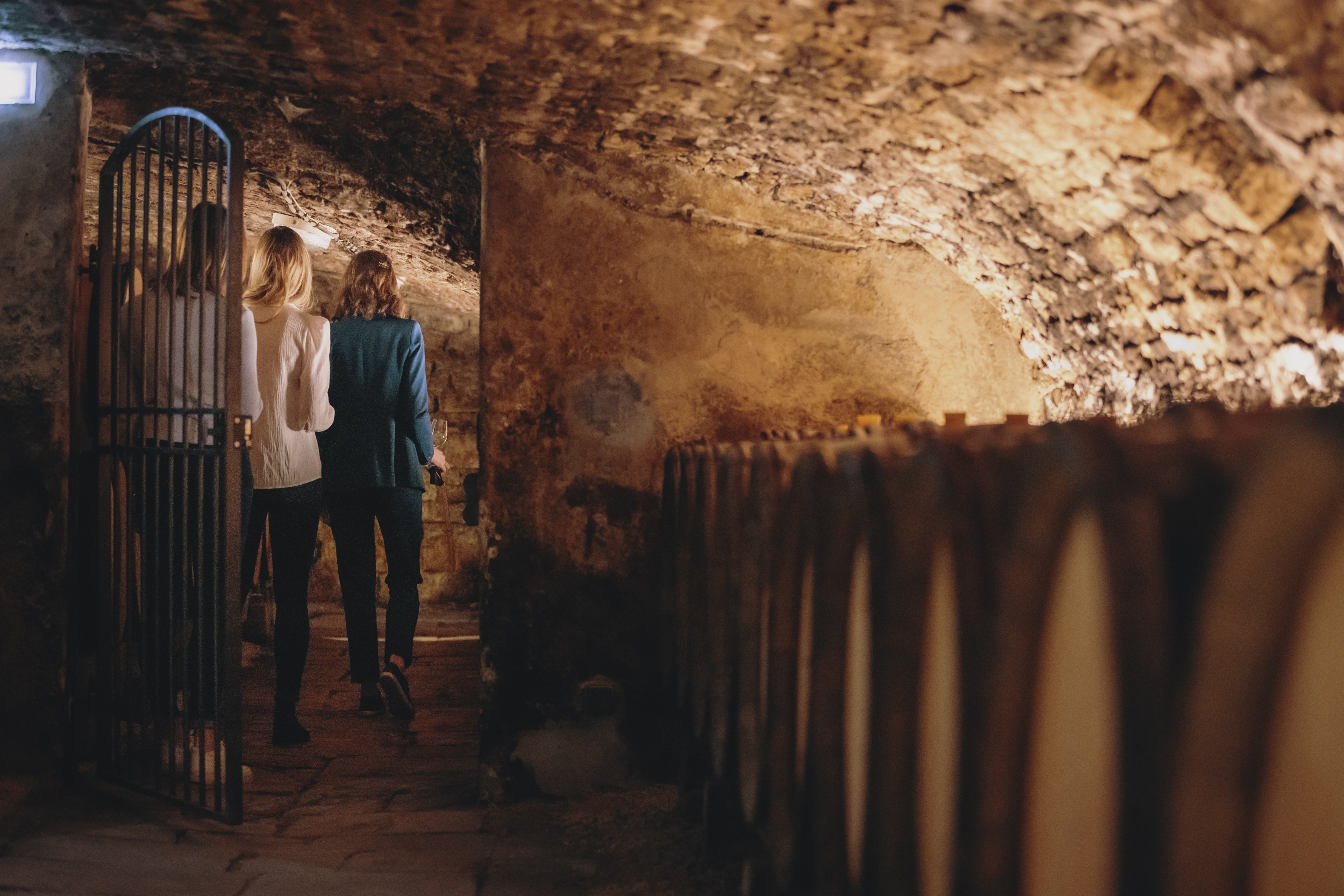 Visit cellars and tasting Maison Champy